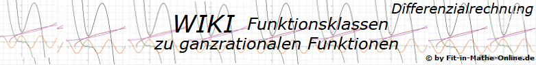 WIKI zu Ganzrationalern Funktionen der Funktionsklassen / © by Fit-in-Mathe-Online.de